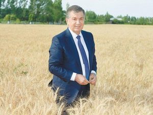 Jizzax davlat pedagogika instituti